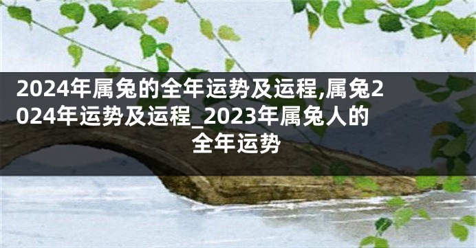 2024年属兔的全年运势及运程,属兔2024年运势及运程_2023年属兔人的全年运势
