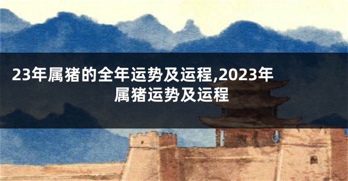 23年属猪的全年运势及运程,2023年属猪运势及运程