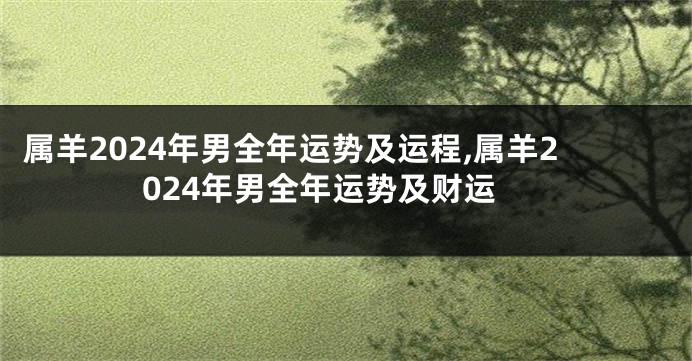 属羊2024年男全年运势及运程,属羊2024年男全年运势及财运
