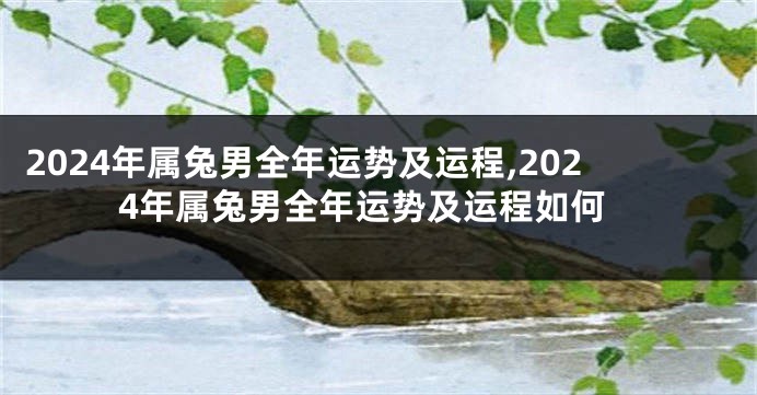 2024年属兔男全年运势及运程,2024年属兔男全年运势及运程如何