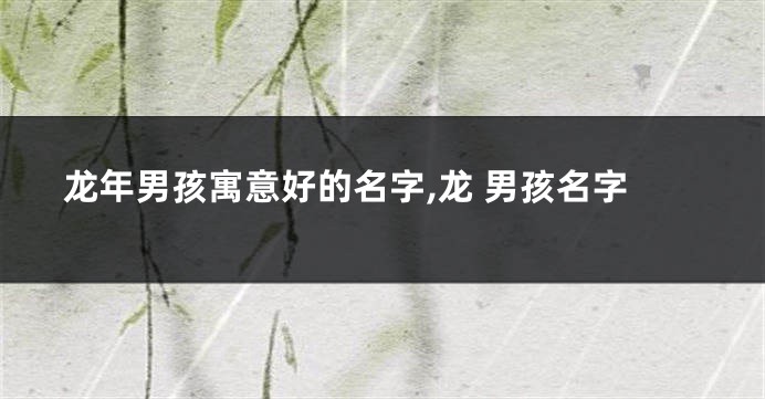 龙年男孩寓意好的名字,龙 男孩名字