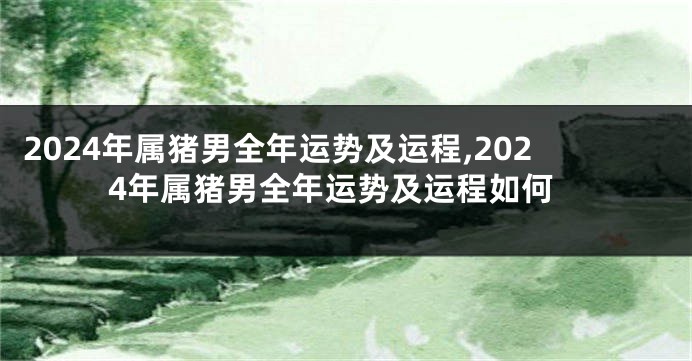 2024年属猪男全年运势及运程,2024年属猪男全年运势及运程如何