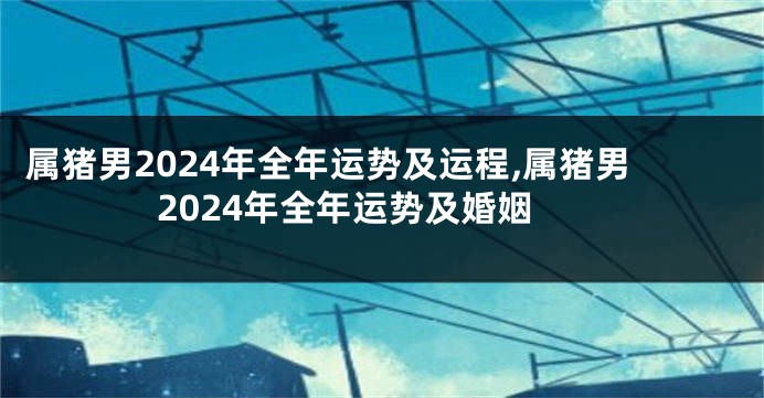 属猪男2024年全年运势及运程,属猪男2024年全年运势及婚姻