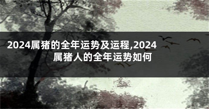 2024属猪的全年运势及运程,2024属猪人的全年运势如何