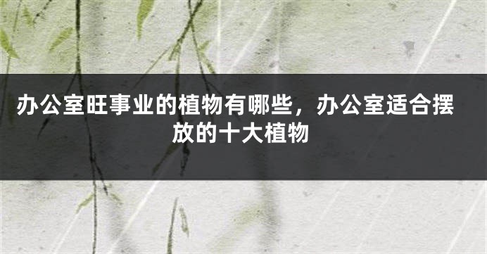 办公室旺事业的植物有哪些，办公室适合摆放的十大植物