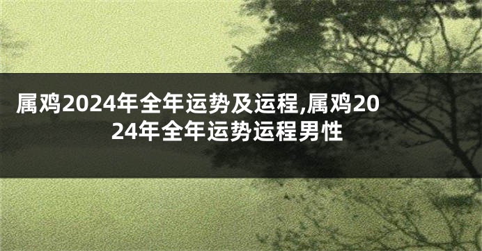 属鸡2024年全年运势及运程,属鸡2024年全年运势运程男性
