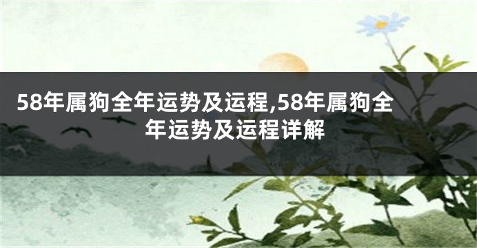 58年属狗全年运势及运程,58年属狗全年运势及运程详解