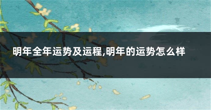 明年全年运势及运程,明年的运势怎么样