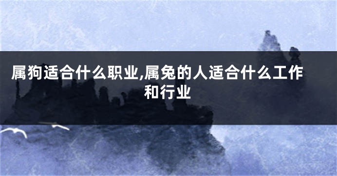 属狗适合什么职业,属兔的人适合什么工作和行业