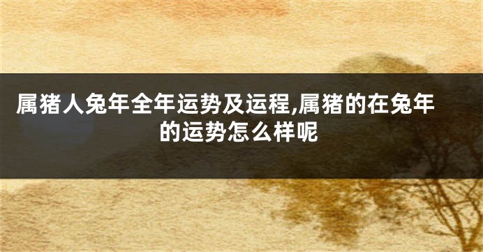 属猪人兔年全年运势及运程,属猪的在兔年的运势怎么样呢