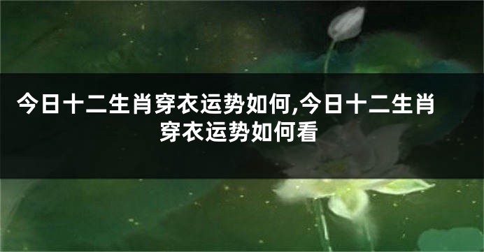 今日十二生肖穿衣运势如何,今日十二生肖穿衣运势如何看