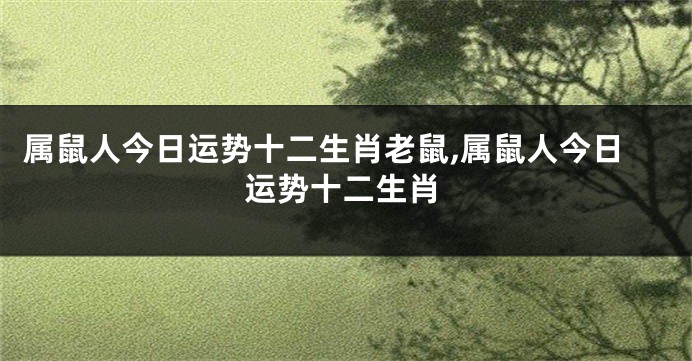 属鼠人今日运势十二生肖老鼠,属鼠人今日运势十二生肖