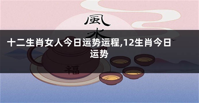 十二生肖女人今日运势运程,12生肖今日运势