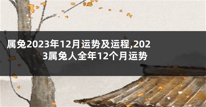 属兔2023年12月运势及运程,2023属兔人全年12个月运势