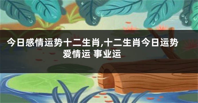 今日感情运势十二生肖,十二生肖今日运势 爱情运 事业运