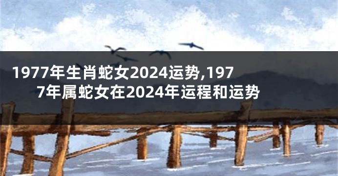 1977年生肖蛇女2024运势,1977年属蛇女在2024年运程和运势