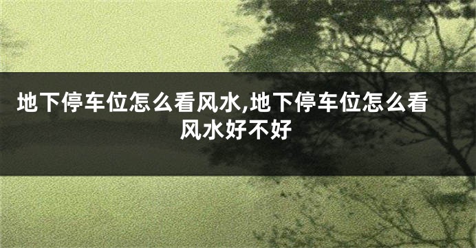 地下停车位怎么看风水,地下停车位怎么看风水好不好