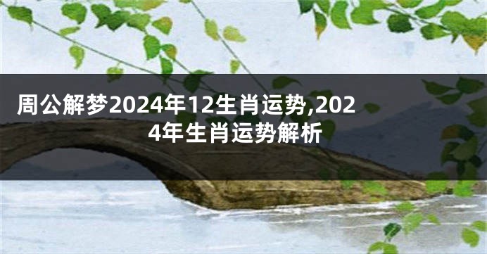 周公解梦2024年12生肖运势,2024年生肖运势解析