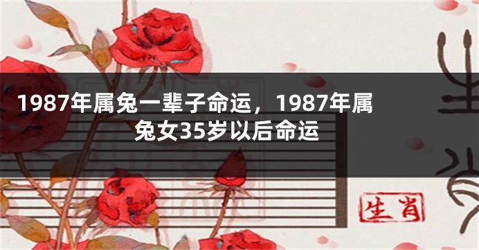 1987年属兔一辈子命运，1987年属兔女35岁以后命运