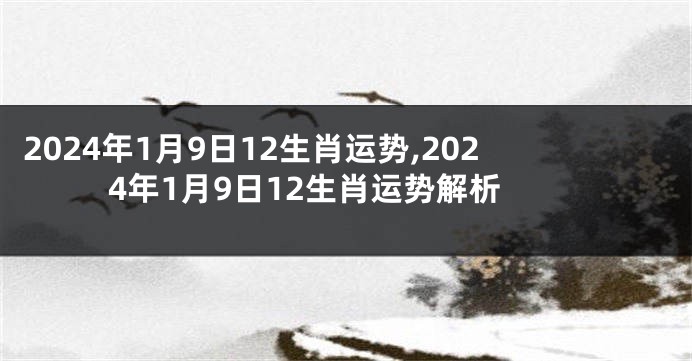 2024年1月9日12生肖运势,2024年1月9日12生肖运势解析