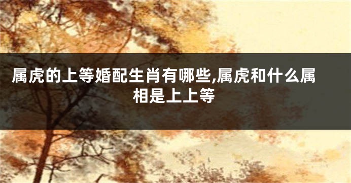 属虎的上等婚配生肖有哪些,属虎和什么属相是上上等