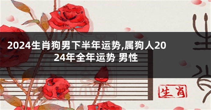 2024生肖狗男下半年运势,属狗人2024年全年运势 男性