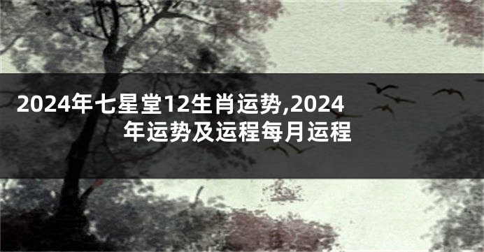 2024年七星堂12生肖运势,2024年运势及运程每月运程