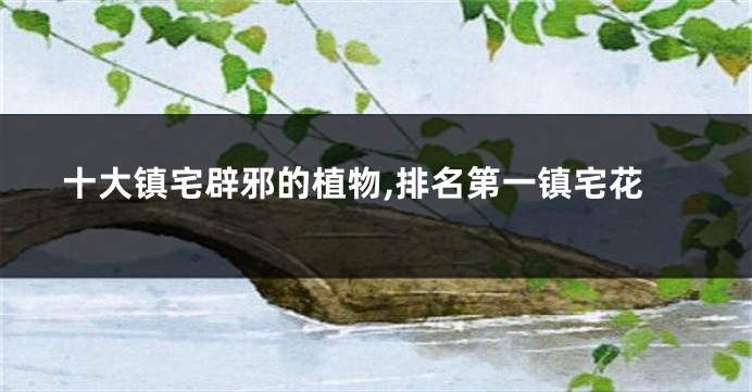 十大镇宅辟邪的植物,排名第一镇宅花
