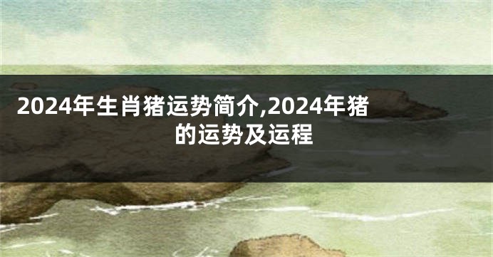 2024年生肖猪运势简介,2024年猪的运势及运程