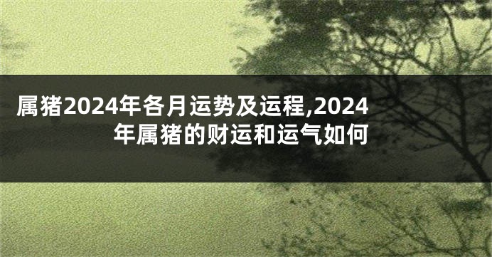 属猪2024年各月运势及运程,2024年属猪的财运和运气如何