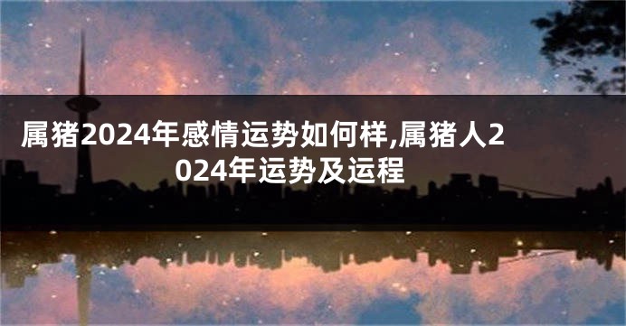 属猪2024年感情运势如何样,属猪人2024年运势及运程