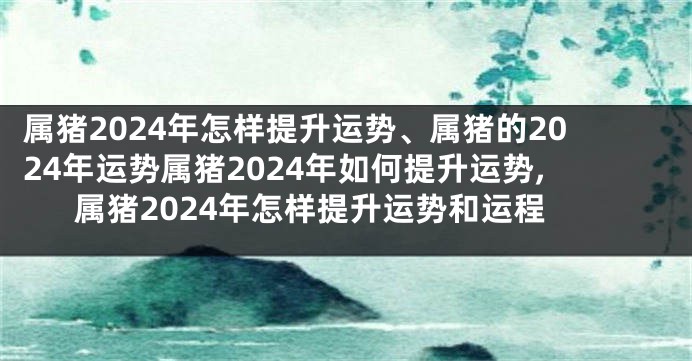 属猪2024年怎样提升运势、属猪的2024年运势属猪2024年如何提升运势,属猪2024年怎样提升运势和运程