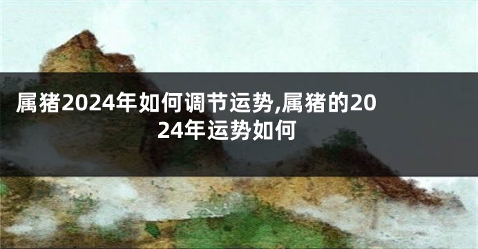 属猪2024年如何调节运势,属猪的2024年运势如何