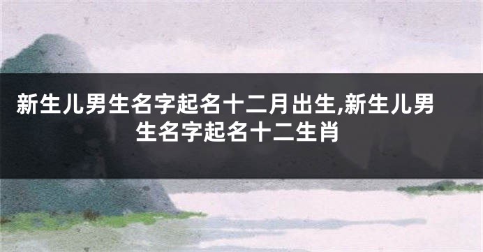 新生儿男生名字起名十二月出生,新生儿男生名字起名十二生肖