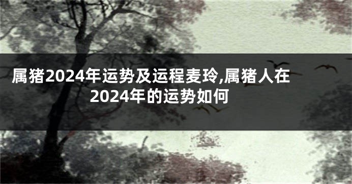 属猪2024年运势及运程麦玲,属猪人在2024年的运势如何