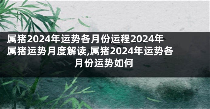 属猪2024年运势各月份运程2024年属猪运势月度解读,属猪2024年运势各月份运势如何