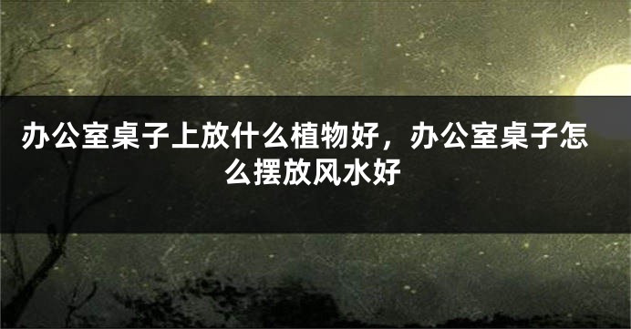 办公室桌子上放什么植物好，办公室桌子怎么摆放风水好