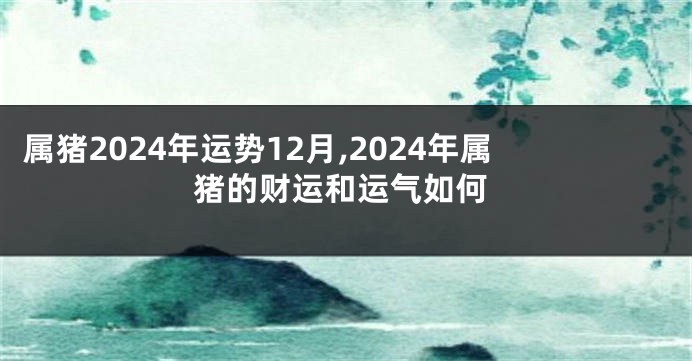 属猪2024年运势12月,2024年属猪的财运和运气如何