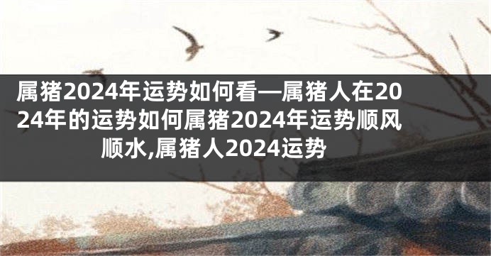 属猪2024年运势如何看—属猪人在2024年的运势如何属猪2024年运势顺风顺水,属猪人2024运势