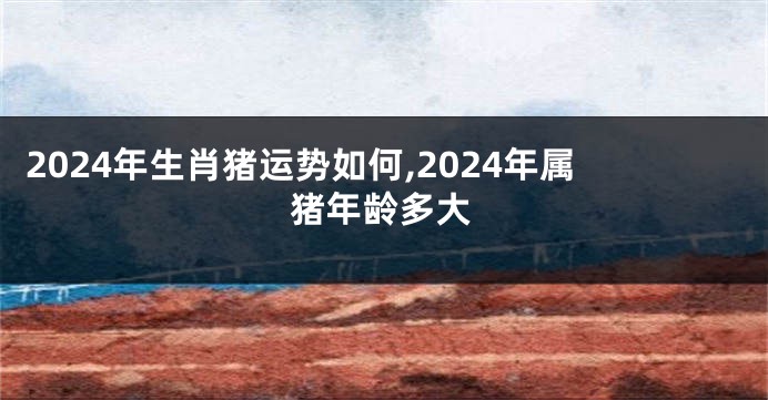 2024年生肖猪运势如何,2024年属猪年龄多大