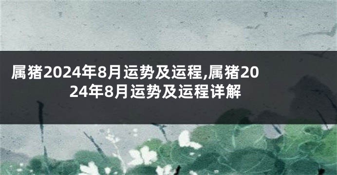 属猪2024年8月运势及运程,属猪2024年8月运势及运程详解