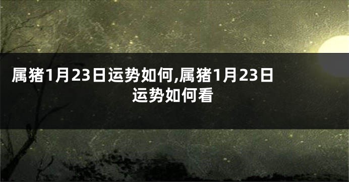 属猪1月23日运势如何,属猪1月23日运势如何看