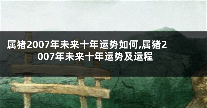 属猪2007年未来十年运势如何,属猪2007年未来十年运势及运程