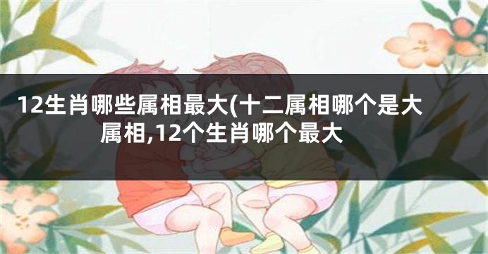 12生肖哪些属相最大(十二属相哪个是大属相,12个生肖哪个最大