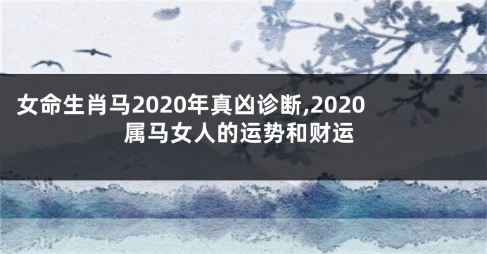 女命生肖马2020年真凶诊断,2020属马女人的运势和财运