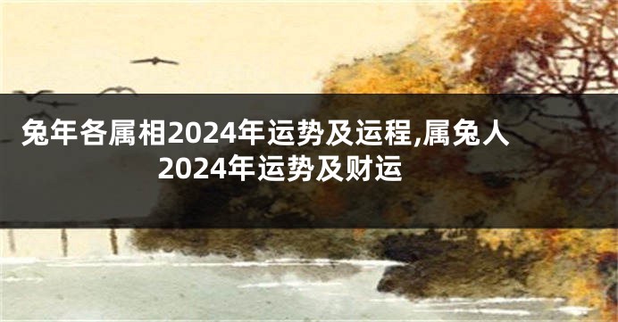 兔年各属相2024年运势及运程,属兔人2024年运势及财运