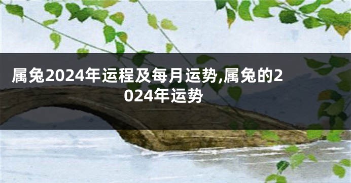 属兔2024年运程及每月运势,属兔的2024年运势