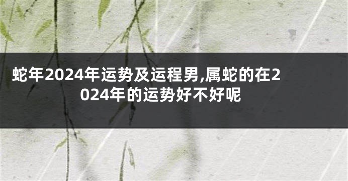 蛇年2024年运势及运程男,属蛇的在2024年的运势好不好呢