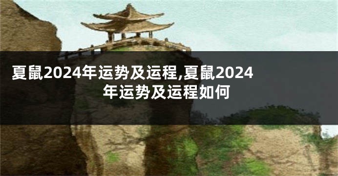 夏鼠2024年运势及运程,夏鼠2024年运势及运程如何