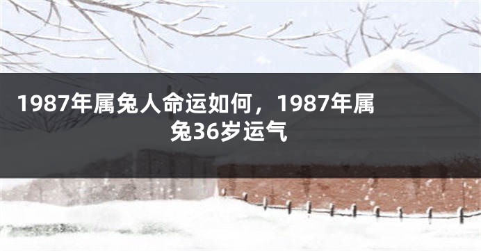 1987年属兔人命运如何，1987年属兔36岁运气